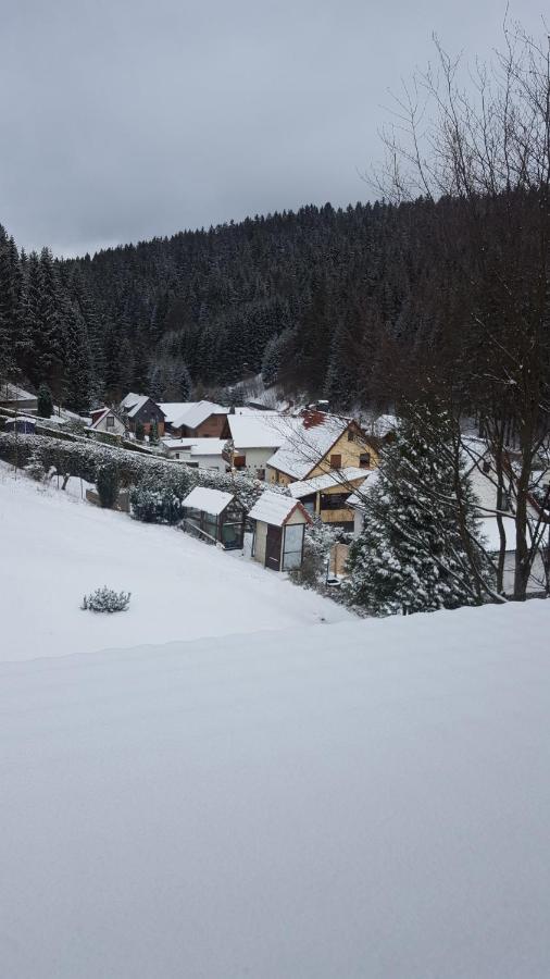 Monteurwohnung Aroba Fehrenbach Exterior foto