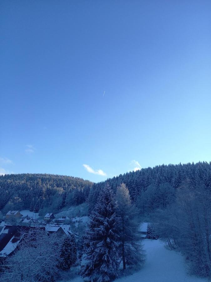 Monteurwohnung Aroba Fehrenbach Exterior foto